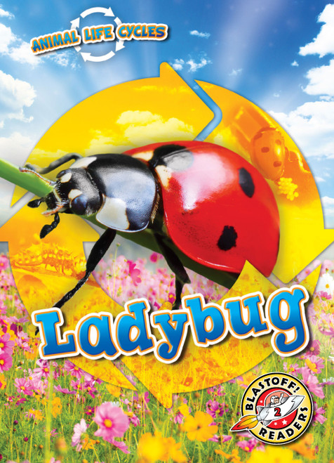 Animal Life Cycles: Ladybug by Dana Fleming, Elizabeth Neuenfeldt, 9781644874103