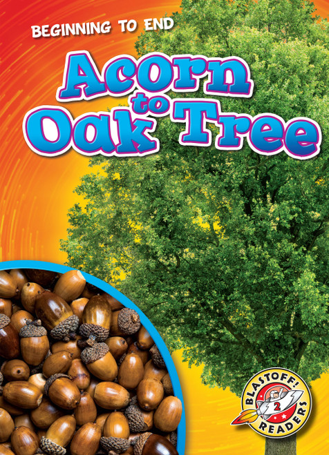 Acorn to Oak Tree by Elizabeth Neuenfeldt, 9781644874219