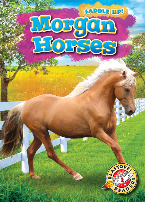 Morgan Horses - 9781644874301 by Rachel Grack, 9781644874301