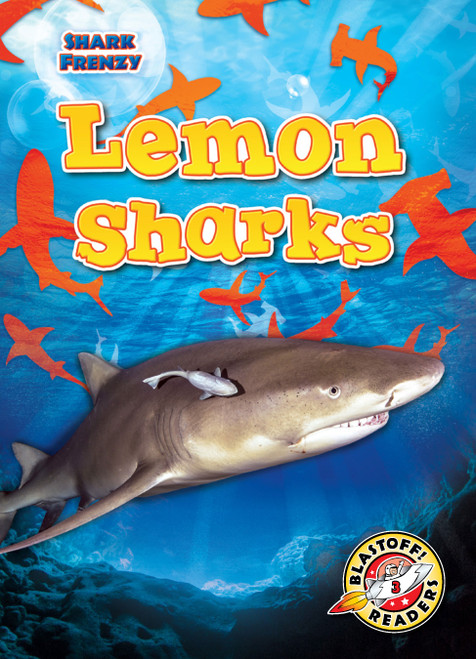 Lemon Sharks - 9781644874394 by Rebecca Pettiford, 9781644874394