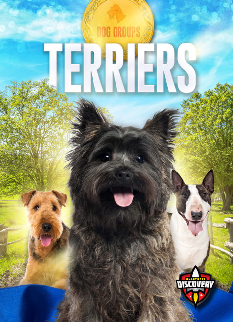 Terriers - 9781644874455 by Sara Green, 9781644874455