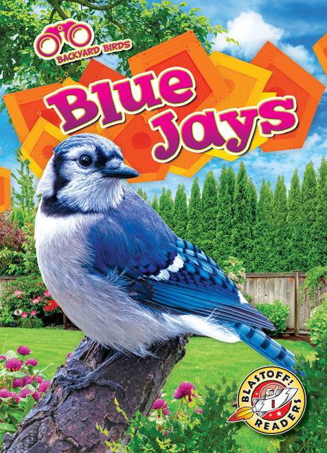 Blue Jays - 9781644874905 by Dana Fleming, Elizabeth Neuenfeldt, 9781644874905