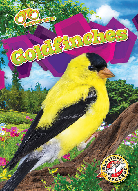 Goldfinches - 9781644874936 by Dana Fleming, Elizabeth Neuenfeldt, 9781644874936