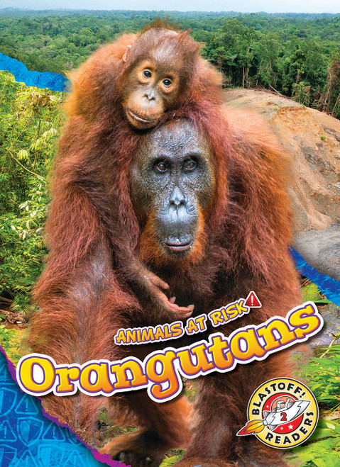 Orangutans - 9781644875896 by Rachel Grack, 9781644875896
