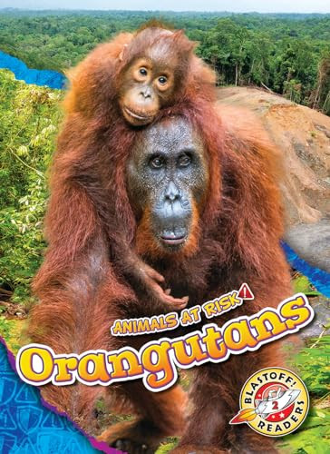 Orangutans - 9781644875896 by Rachel Grack, 9781644875896
