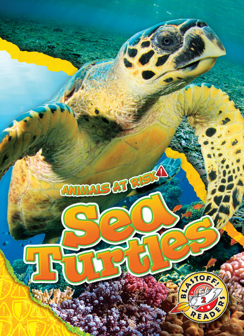 Sea Turtles - 9781644875919 by Rachel Grack, 9781644875919