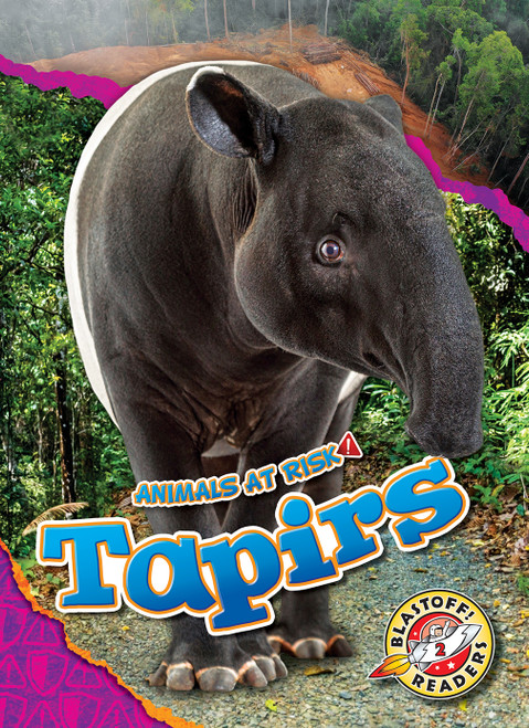 Tapirs - 9798886877892 by Rachel Grack, 9798886877892