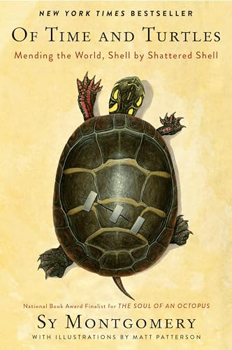 Of Time and Turtles (Mending the World, Shell by Shattered Shell) - 9780063394230 by Sy Montgomery, Matt Patterson