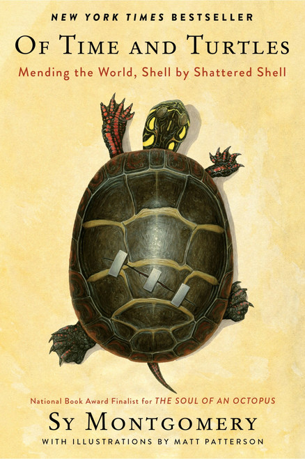 Of Time and Turtles (Mending the World, Shell by Shattered Shell) - 9780063394230 by Sy Montgomery, Matt Patterson, 9780063394230