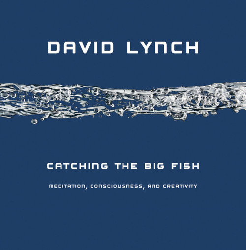 Catching the Big Fish (Meditation, Consciousness, and Creativity) by David Lynch, 9781585425402