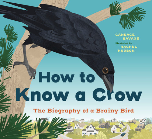 How to Know a Crow (The Biography of a Brainy Bird) by Candace Savage, Rachel Hudson, 9781771649162