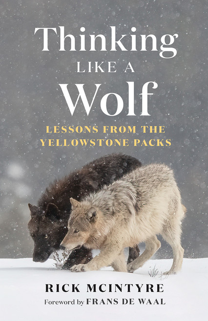 Thinking Like a Wolf (Lessons From the Yellowstone Packs) by Rick McIntyre, Frans de Waal, 9781778401251