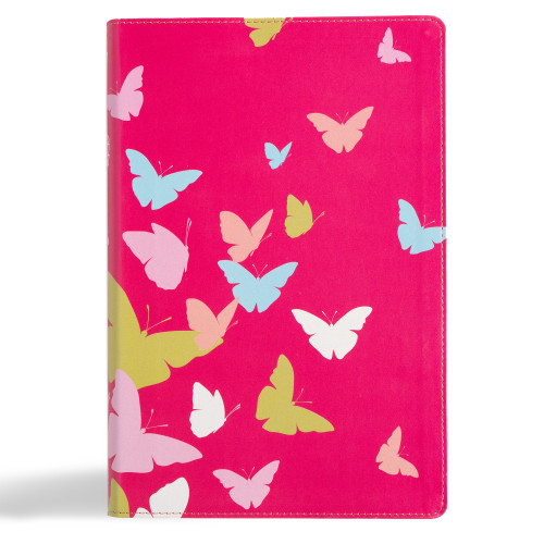 KJV One Big Story Bible, Pink LeatherTouch (Connecting Christ Throughout God's Story) by Holman Bible Publishers, 9798384509806