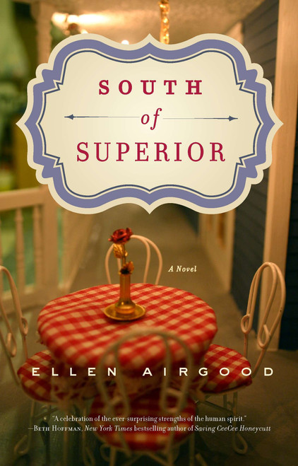 South of Superior by Ellen Airgood, 9781594485763