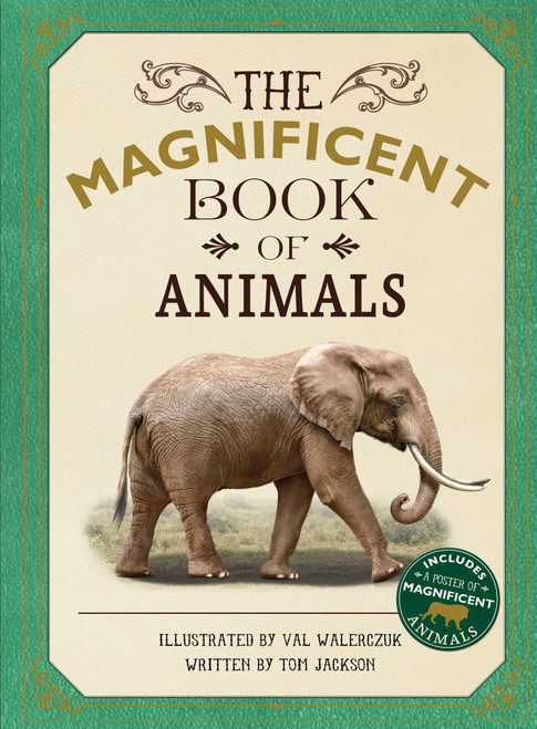 The Magnificent Book of Animals by Tom Jackson, Val Walerczuk, 9781645171027