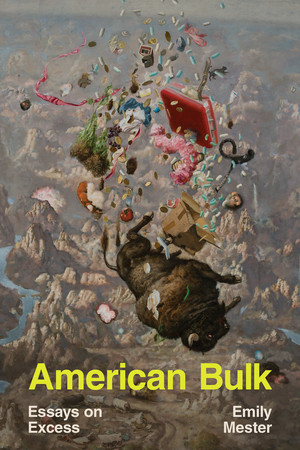 American Bulk (Essays on Excess) by Emily Mester, 9781324035237