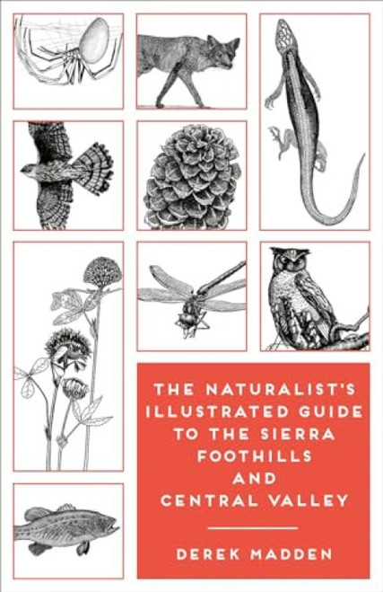 The Naturalist's Illustrated Guide to the Sierra Foothills and Central Valley by Derek Madden, Ken Charters, Erinn Madden, 9781597144865