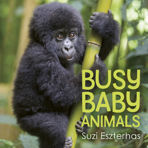 Busy Baby Animals by Suzi Eszterhas, 9781771474467