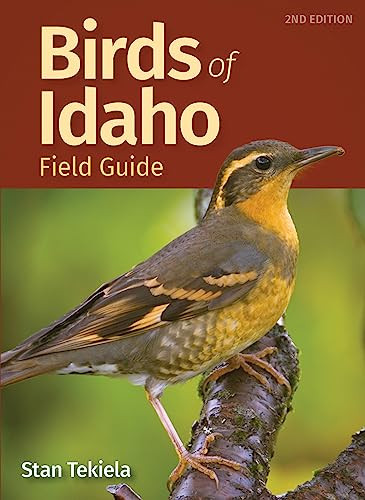 Birds of Idaho Field Guide (Miniature Edition) by Stan Tekiela, 9781647551483