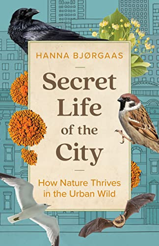 Secret Life of the City (How Nature Thrives in the Urban Wild) by Hanna Hagen Bjørgaas, Matt Bagguley, 9781771649353