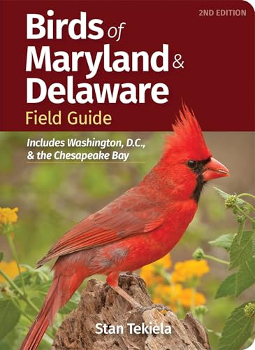 Birds of Maryland & Delaware Field Guide (Includes Washington, D.C., & the Chesapeake Bay) (Miniature Edition) by Stan Tekiela, 9781647553708