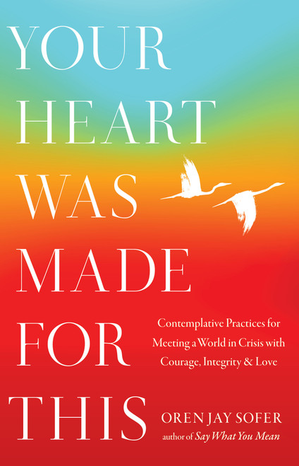 Your Heart Was Made for This (Contemplative Practices for Meeting a World in Crisis with Courage, Integrity, and Love) - 9781645473893 by Oren Jay Sofer, 9781645473893