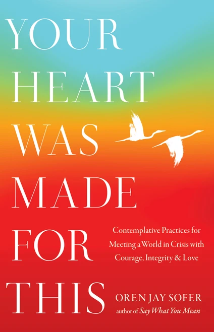 Your Heart Was Made for This (Contemplative Practices for Meeting a World in Crisis with Courage, Integrity, and Love) - 9781645473893 by Oren Jay Sofer, 9781645473893