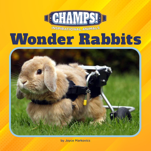 Wonder Rabbits - 9781668948255 by Joyce Markovics, 9781668948255