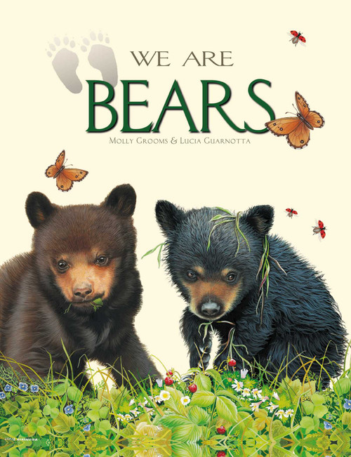 We Are Bears by Molly Grooms, 9781960107404