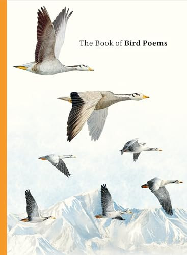 The Book of Bird Poems by Ana Sampson, Ryuto Miyake, 9781399625630