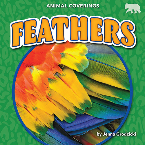 Feathers - 9798892324526 by Jenna Grodzicki, 9798892324526