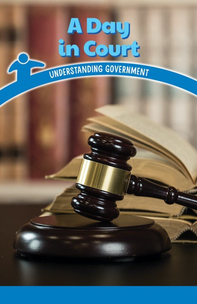 A Day in Court (Understanding Government) by Sheri Lang, 9781538364420