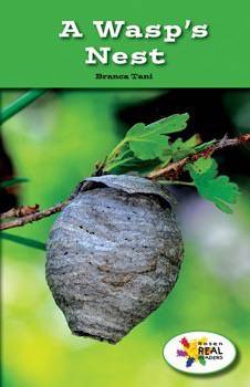 A Wasp's Nest by Branca Tani, 9781499491982