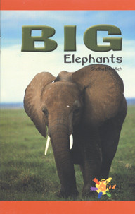 Big Elephants (Journeys) by Shelby Braidich, 9781404254091