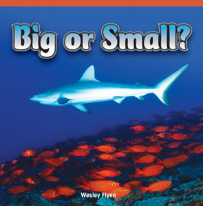 Big or Small? by Wesley Flynn, 9781448886401