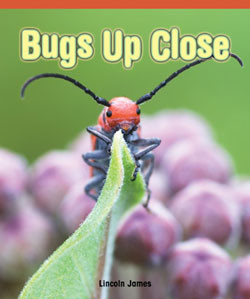 Bugs Up Close by Lincoln James, 9781404279575