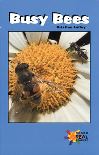 Busy Bees (Journeys) by Kristine Lalley, 9781404257993