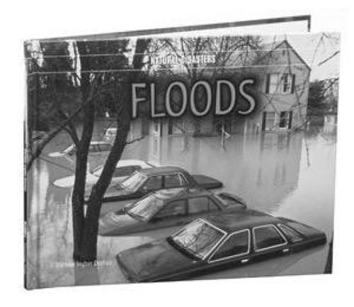 Floods - 9780823952885 by Michele Ingber Drohan