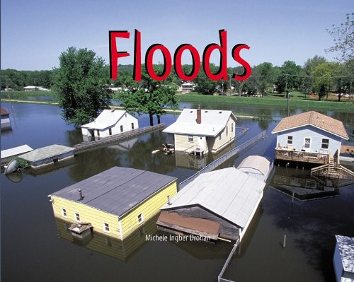 Floods - 9781404255791 by Michele Ingber Drohan, 9781404255791