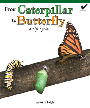 From Caterpillar to Butterfly: A Life Cycle by Autumn Leigh, 9781435802230