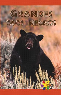Grandes osos negros (Big Black Bears) by Greg Roza, 9781404274419