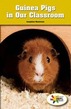 Guinea Pigs in Our Classroom by Josephine Masterson, 9781499497632