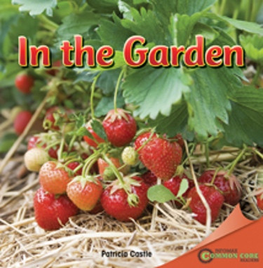 In the Garden - 9781448889440 by Patricia Castle, 9781448889440