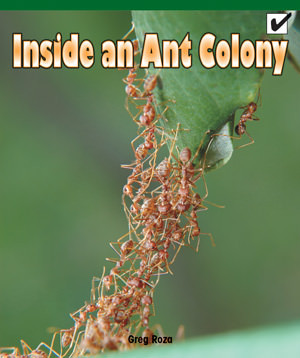 Inside an Ant Colony by Greg Roza, 9781435802247