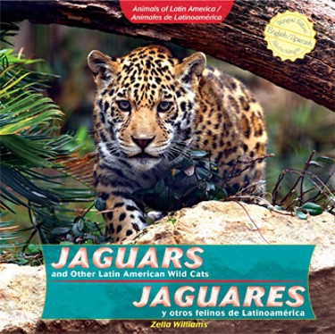 Jaguars and Other Latin American Wild Cats / Jaguares y otros felinos de Latinoamérica - 9781435833784 by Zella Williams, 9781435833784