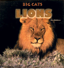 Lions - 9780823952083 by Don Middleton, 9780823952083