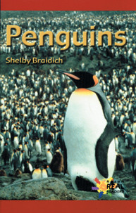 Penguins (Journeys) by Shelby Braidich, 9781404254084
