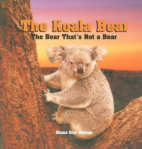 The Koala Bear by Diana Star Helmer, 9781404255654
