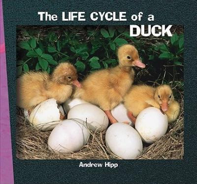 The Life Cycle of a Duck - 9781404255838 by Andrew Hipp, 9781404255838