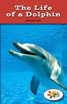 The Life of a Dolphin by Branca Tani, 9781499491562